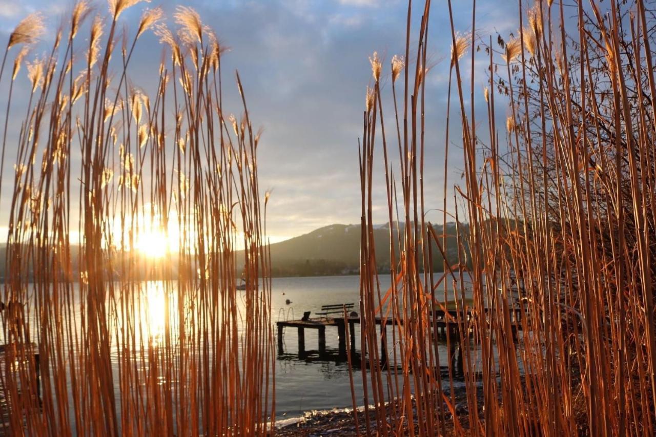 Ferienhäuschen am Traunsee Altmünster Exterior foto